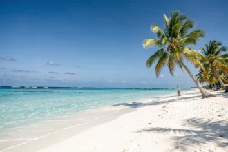 Plage tropicale ensoleillée au sable blanc et à l'eau turquoise