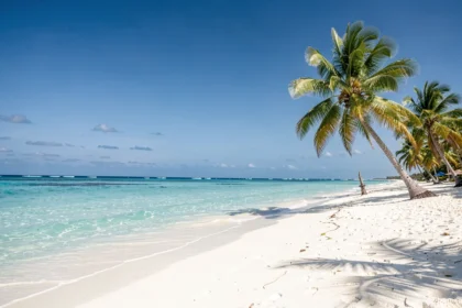 Plage tropicale ensoleillée au sable blanc et à l'eau turquoise